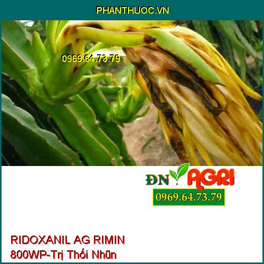 THUỐC TRỪ BỆNH RIDOXANIL AG RIMIN 800WP- ĐẶC TRỊ VÀNG LÁ CHÍN SỚM, THỐI NHŨN