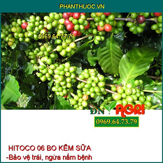 PHÂN BÓN HITOCO 06 BO KẼM SỮA - Hạn Chế Nứt Trái, Thối Trái, Rụng Bông, Trái Non