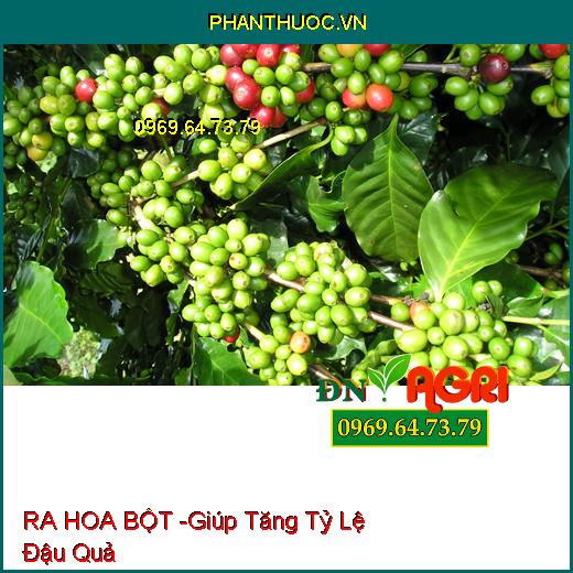 PHÂN BÓN LÁ RA HOA BỘT - Phân Hóa Mầm Hoa, Ra Hoa Sớm Đồng Loạt, Tăng Đậu Quả