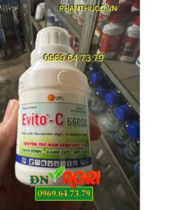 EVITO-C 660SC -  THUỐC TRỪ BỆNH CHUYÊN TRỊ NẤM BỆNH KHÓ TRỊ, SẠCH BỆNH, XANH CÂY, ĐẸP QUẢ