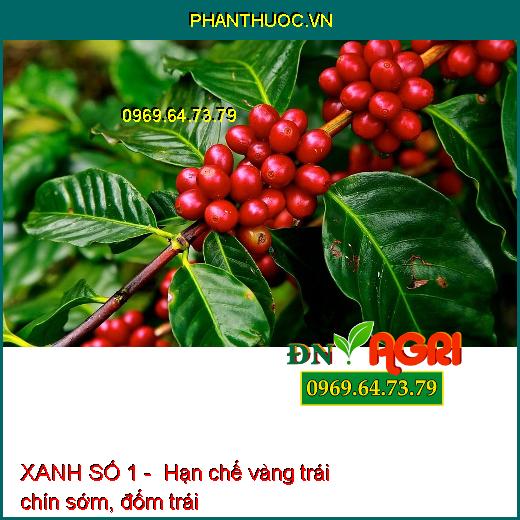 XANH SỐ 1 - CHỐNG RỤNG HOA,TRÁI NON-GIÚP CÂY XANH LÁ-NÂNG CAO CHẤT LƯỢNG SẢN PHẨM