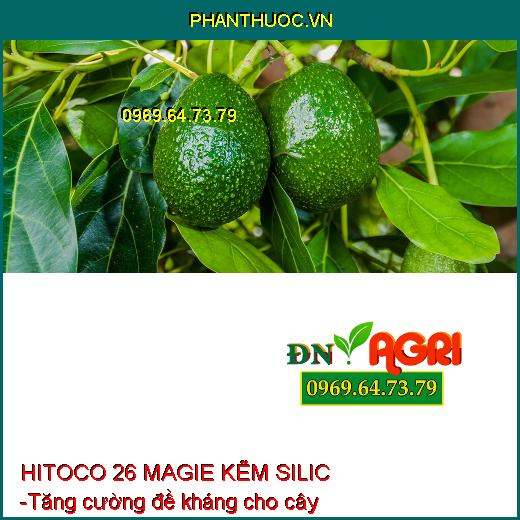 PHÂN BÓN LÁ AV3 ZIN HITOCO 26 MAGIE KẼM SILIC - XANH GAI, SÁNG TRÁI, PHÁT CHỒI, NẢY LỘC, CỨNG CÂY