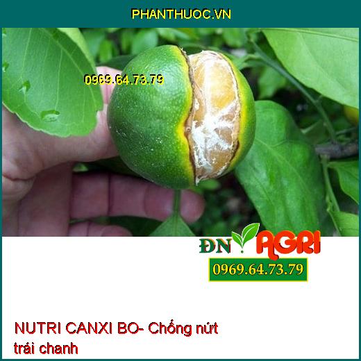 NUTRI CANXI BO- Chống Nứt Trái- Mập Đọt- Cứng Cây- Chống Rụng Trái Non