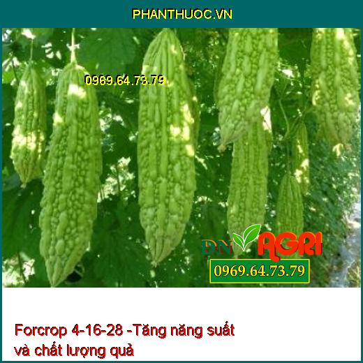 Forcrop 4-16-28 - Phân Bón Nhập Khẩu Cao Cấp - Giúp trái chín đều, đặc ruột, nặng ký, lên màu, đẹp trái