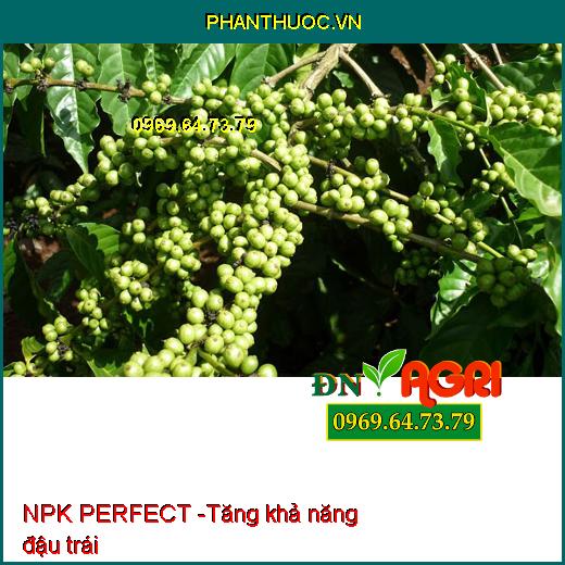 PHÂN NPK PERFECT SỮA RA HOA NÔNG VUI - Giúp Tạo Mầm, Hoa Ra Đồng Loạt, Rước Bông Dài Mập Mạnh, Ra Hoa Mạnh, Tượt Hoa Dài, Mập Khỏe