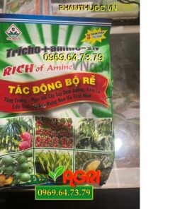 PHÂN BÓN RICH OF AMINEVNA34 - TĂNG TRƯỞNG, LỚN TRÁI, PHỤC HỒI CÂY