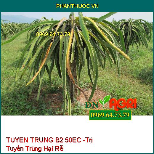 THUỐC TRỪ SÂU SINH HỌC TUYEN TRUNG B2 50EC - Đặc Trị Tuyến Trùng Sưng Rễ Thối Rễ, Vàng Lá Chết Cây