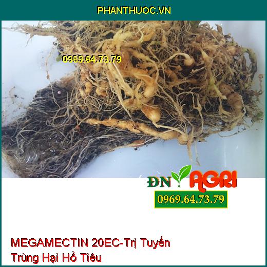 THUỐC TRỪ SÂU MEGAMECTIN 20EC –  Đặc Trị Sâu Cuốn Lá, Sâu Đục Quả, Bọ Trĩ, Tuyến Trùng