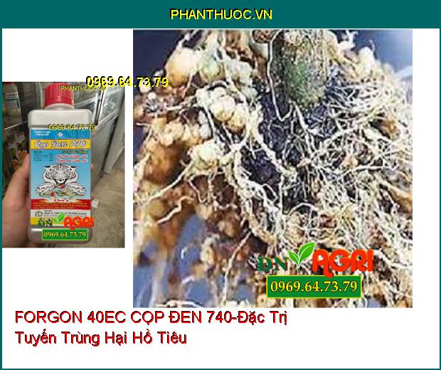 THUỐC TRỪ SÂU FORGON 40EC CỌP ĐEN 740 - Đặc Trị Tuyến Trùng, Rệp Sáp, Bọ Hà, Sâu Đục Thân