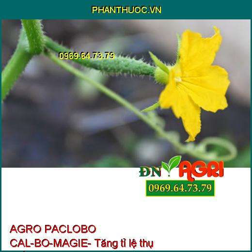 AGRO PACLOBO CAL-BO-MAGIE- Hạn Chế Rụng Trái, Tăng Thụ Phấn, Chống Nứt, Méo Trái