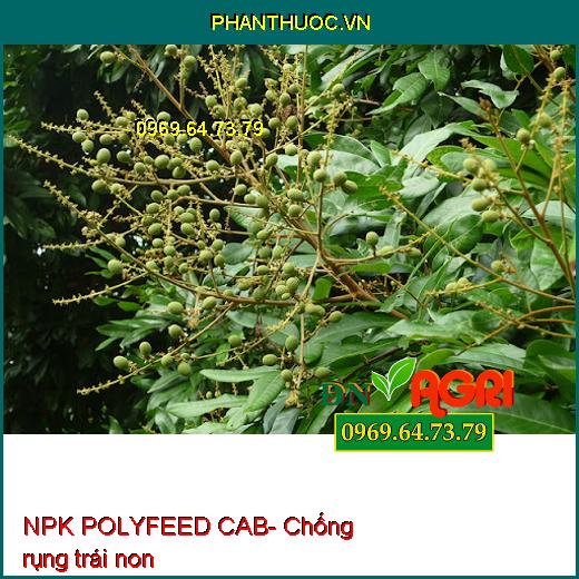 PHÂN BÓN LÁ NPK POLYFEED CAB- SIÊU SẠCH TRÁI- BÓNG TRÁI- LÊN MÀU ĐẸP