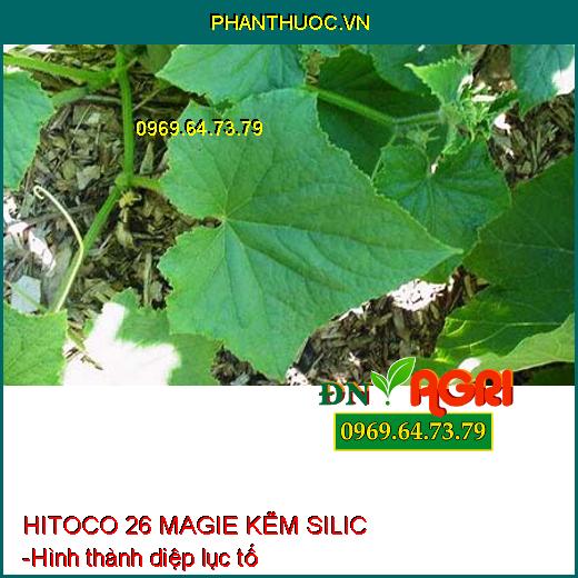 PHÂN BÓN LÁ AV3 ZIN HITOCO 26 MAGIE KẼM SILIC - XANH GAI, SÁNG TRÁI, PHÁT CHỒI, NẢY LỘC, CỨNG CÂY