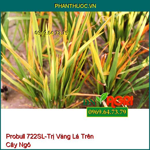 Thuốc Trừ Bệnh Probull 722SL- Chuyên Trị Vàng Lá Thối Rễ, Nứt Thân Xì Mủ