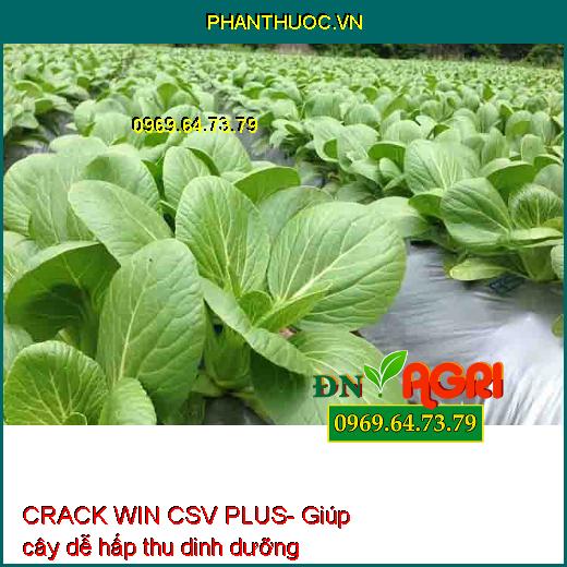 PHÂN BÓN LÁ TRUNG VI LƯỢNG CRACK WIN CSV PLUS- To Quả, Đẹp Màu, Tăng Năng Suất