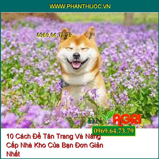 10 Cách Để Tân Trang Và Nâng Cấp Nhà Kho Của Bạn Đơn Giản Nhất