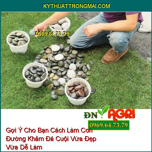 Gợi Ý Cho Bạn Cách Làm Con Đường Khảm Đá Cuội Vừa Đẹp Vừa Dễ Làm