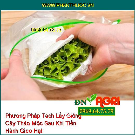 Phương Pháp Tách Lấy Giống Cây Thảo Mộc Sau Khi Tiến Hành Gieo Hạt