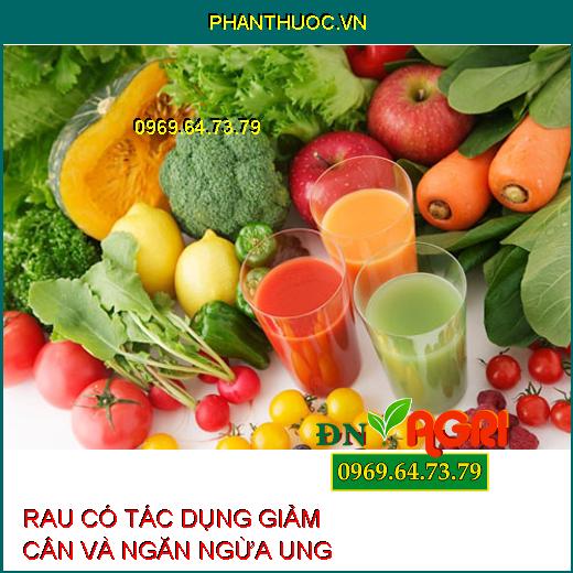 Giảm Cân, Ngăn Ngừa Ung Thư Với 9 Loại Rau "Thần Dược" Bạn Đã Biết?