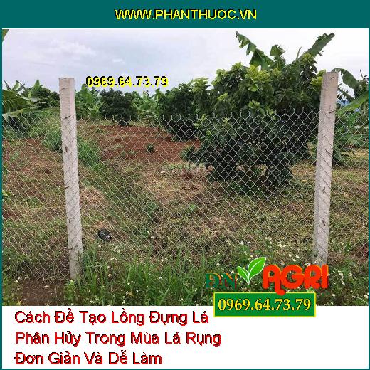 Cách Để Tạo Lồng Đựng Lá Phân Hủy Trong Mùa Lá Rụng Đơn Giản Và Dễ Làm