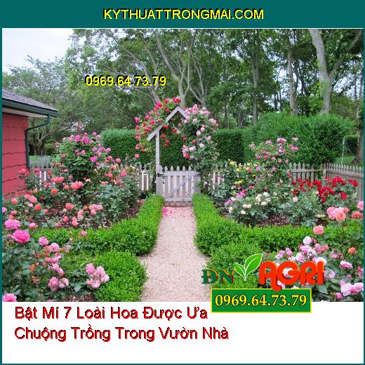 hoa trồng trong vườn nhà