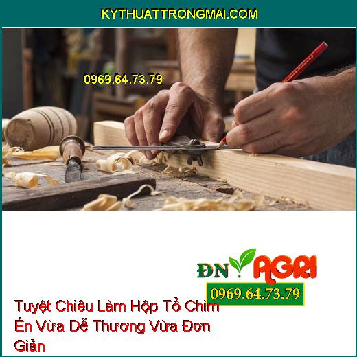 Tuyệt Chiêu Làm Hộp Tổ Chim Én Vừa Dễ Thương Vừa Đơn Giản