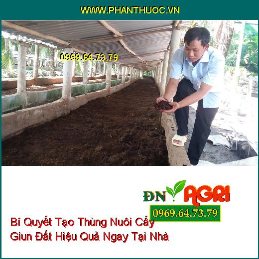 Bí Quyết Tạo Thùng Nuôi Cấy Giun Đất Hiệu Quả Ngay Tại Nhà