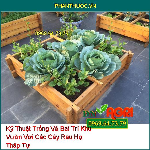 Kỹ Thuật Trồng Và Bài Trí Khu Vườn Với Các Cây Rau Họ Thập Tự