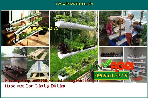 Phương Pháp Gieo Hạt Xà Lách Trong Rãnh Ống Nước Vừa Đơn Giản Lại Dễ Làm