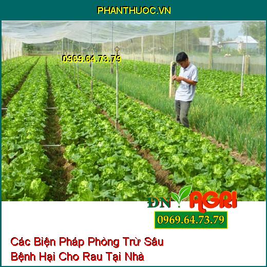 Các Biện Pháp Phòng Trừ Sâu Bệnh Hại Cho Rau Tại Nhà