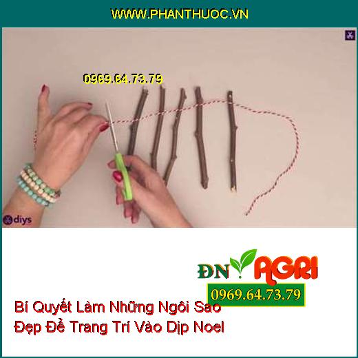 Bí Quyết Làm Những Ngôi Sao Đẹp Để Trang Trí Vào Dịp Noel