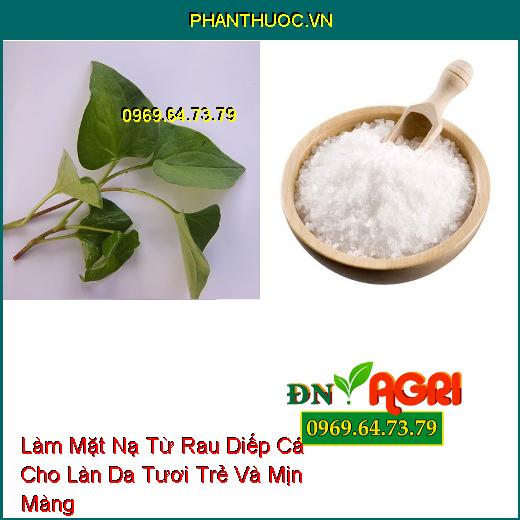 Bật Mí 5 Cách Làm Mặt Nạ Từ Rau Diếp Cá Dễ Thực Hiện Cho Làn Da Tươi Trẻ Và Mịn Màng