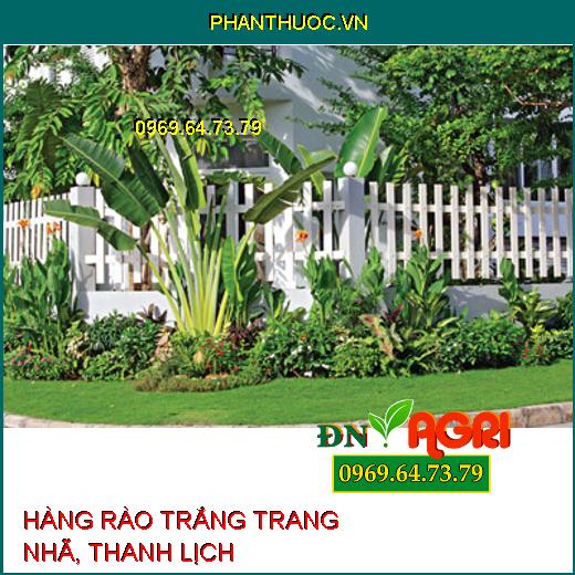 5 Kiểu Hàng Rào Màu Trắng Trang Nhã, Thanh Lịch Bài Trí Cho Khu Vườn