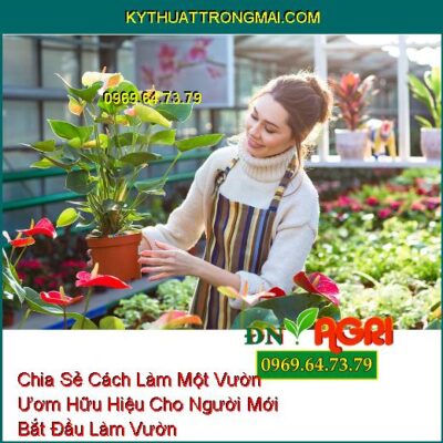 Chia Sẻ Cách Làm Một Vườn Ươm Hữu Hiệu Cho Người Mới Bắt Đầu Làm Vườn