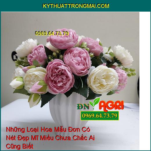 Những Loại Hoa Mẫu Đơn Có Nét Đẹp Mĩ Miều Chưa Chắc Ai Cũng Biết