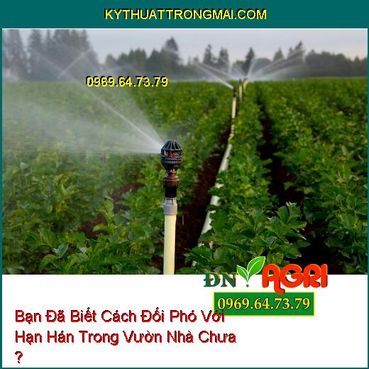 Bạn Đã Biết Cách Đối Phó Với Hạn Hán Trong Vườn Nhà Chưa ?