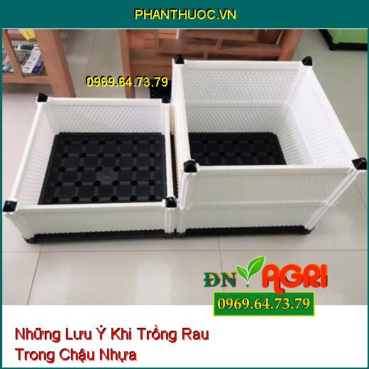 Những Lưu Ý Khi Trồng Rau Trong Chậu Nhựa Bạn Đã Biết?