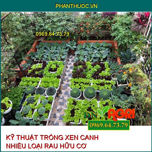 KỸ THUẬT TRỒNG XEN CANH NHIỀU LOẠI RAU HỮU CƠ