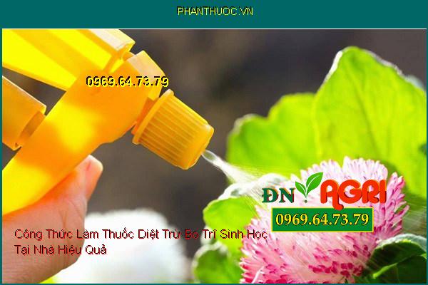 7 Công Thức Làm Thuốc Diệt Trừ Bọ Trĩ Sinh Học Tại Nhà Hiệu Quả