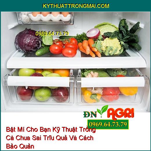 Bật Mí Cho Bạn Kỹ Thuật Trồng Cà Chua Sai Trĩu Quả Và Cách Bảo Quản