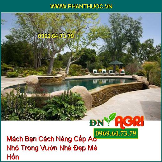 Mách Bạn Cách Nâng Cấp Ao Nhỏ Trong Vườn Nhà Đẹp Mê Hồn