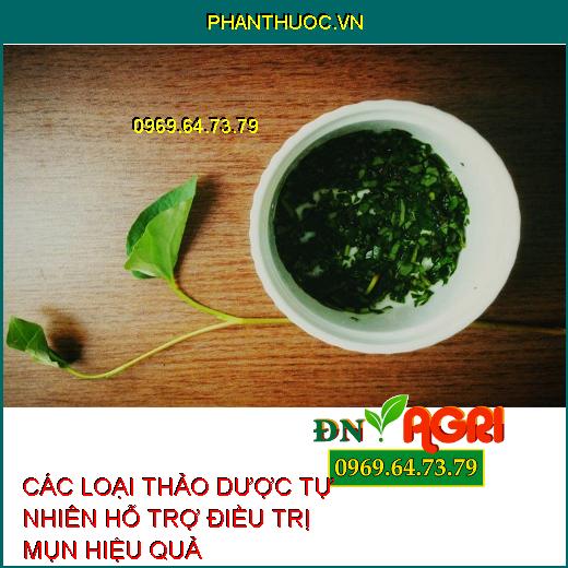 các loại thảo dược tự nhiên là một giải pháp an toàn và hiệu quả hơn. Để giúp bạn có được thông tin chi tiết hơn về các loại lá hỗ trợ trị mụn và làm đẹp da