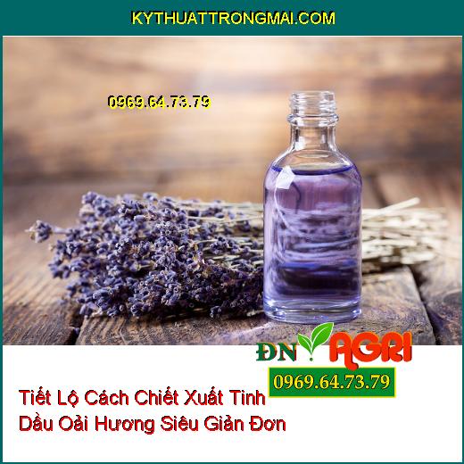 Tiết Lộ Cách Chiết Xuất Tinh Dầu Oải Hương Siêu Giản Đơn