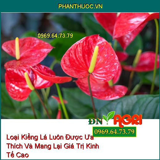 6 Đặc tính Mà Kiểng Lá Luôn Được Ưa Thích Và Mang Lại Giá Trị Kinh Tế Cao