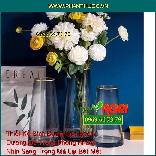 Thiết Kế Bình Đựng Hoa Bạch Dương Để Trong Phòng Khách Nhìn Sang Trọng Mà Lại Bắt Mắt