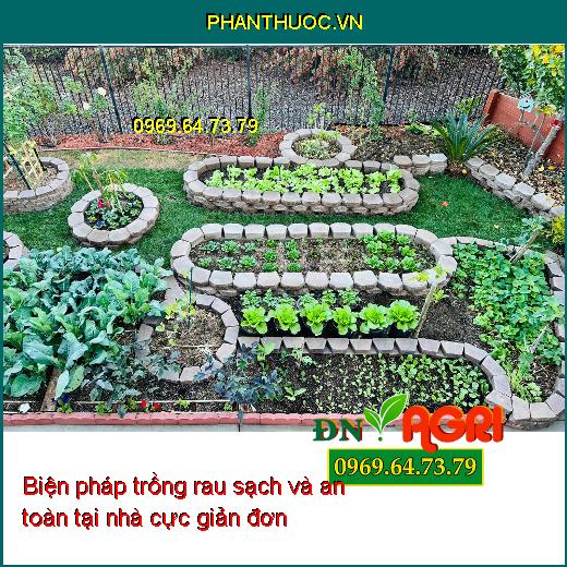 5 biện pháp trồng rau sạch và an toàn tại nhà cực giản đơn, ăn mãi không hết