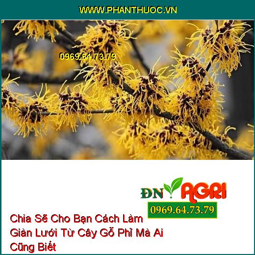 Chia Sẽ Cho Bạn Cách Làm Giàn Lưới Từ Cây Gỗ Phỉ Mà Ai Cũng Biết