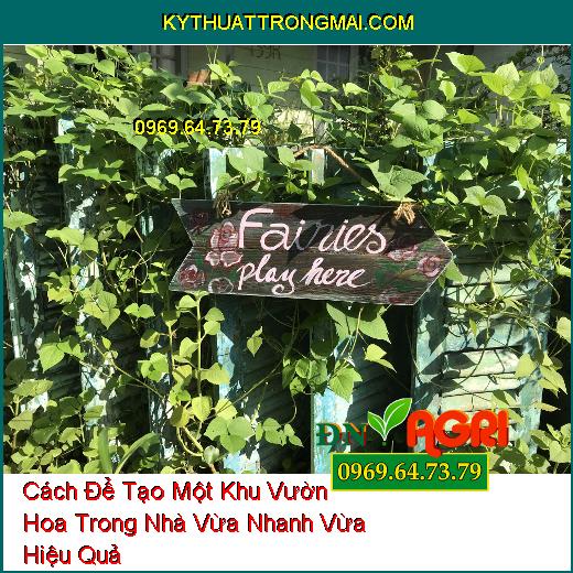 Cách Để Tạo Một Khu Vườn Hoa Trong Nhà Vừa Nhanh Vừa Hiệu Quả