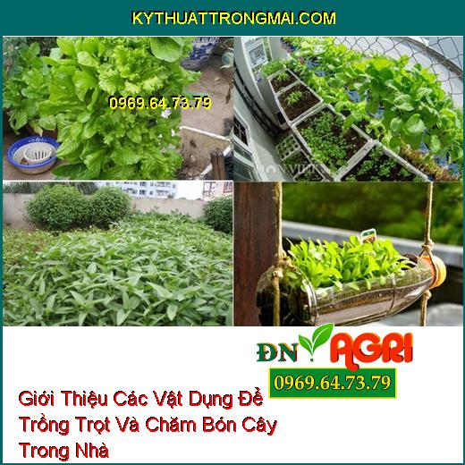 Giới Thiệu Các Vật Dụng Để Trồng Trọt Và Chăm Bón Cây Trong Nhà Hiệu Quả