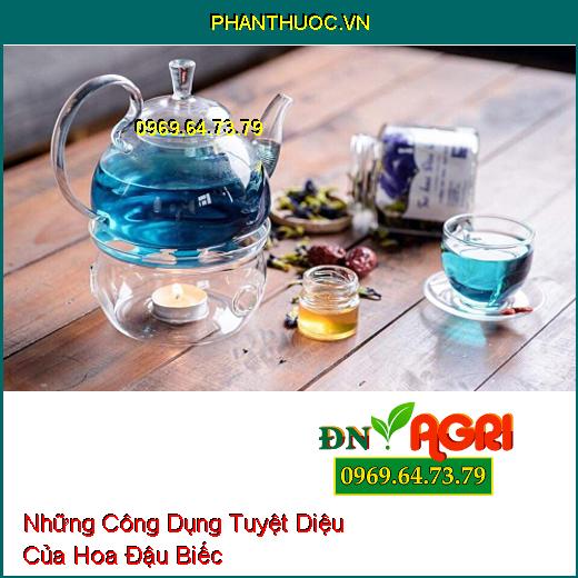 Những Công Dụng Tuyệt Diệu Của Hoa Đậu Biếc 