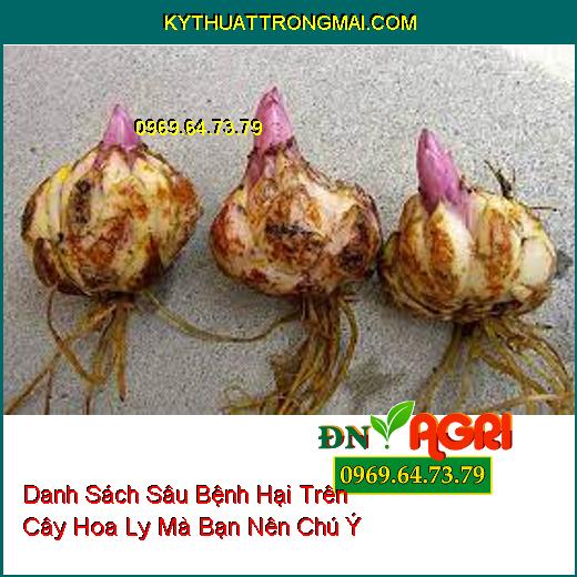 Danh Sách Sâu Bệnh Hại Trên Cây Hoa Ly Mà Bạn Nên Chú Ý